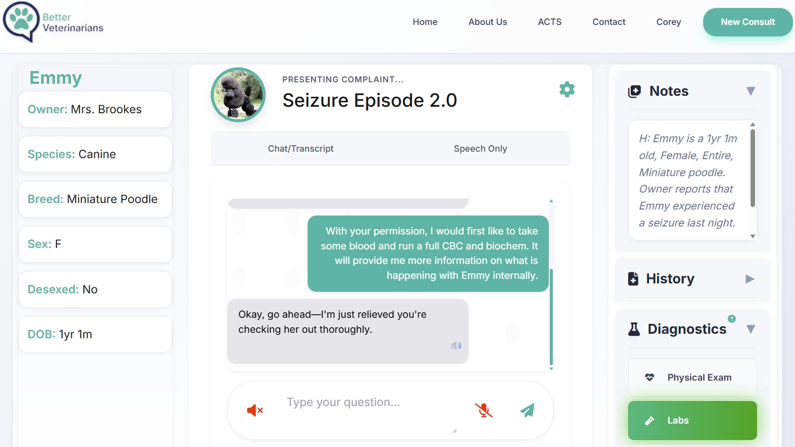 AI Veterinary Consultation Simulator - Student speaking to a client and requesting a blood test