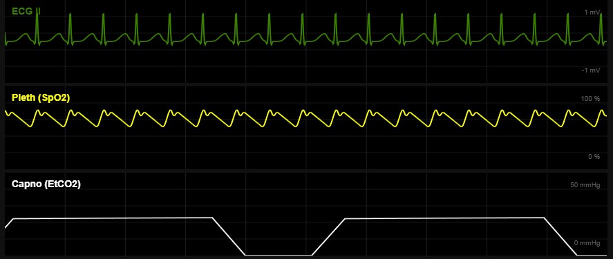 Illustration of veterinarian consulting with client