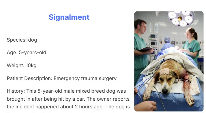 Illustration of veterinarian consulting with client