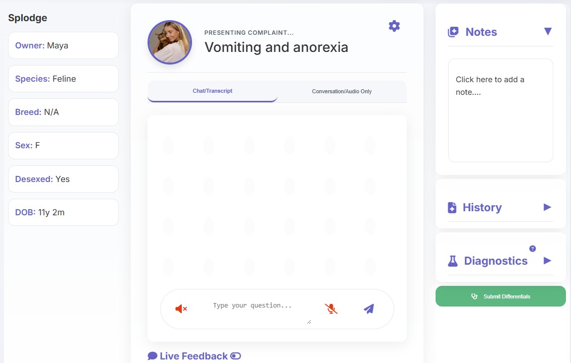 Illustration of veterinarian consulting with client