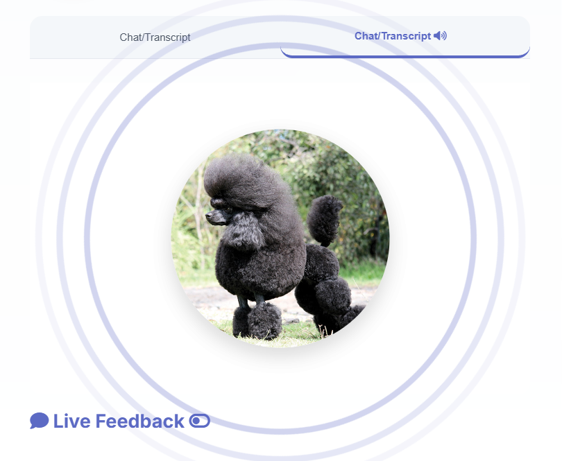 AI Consultation Simulator